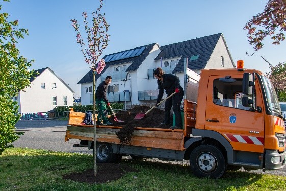 Landschaft_Gartenbau