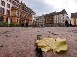 Ein Jahr Kultur Route 65: Wiesbaden zieht erfolgreiche Bilanz