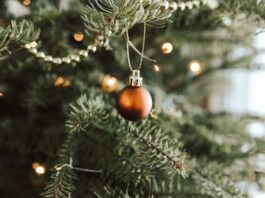 Weihnachtsbaumabfuhr in Offenbach