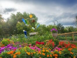 Frankfurt will die Bundesgartenschau 2045 ausrichten