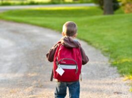 Schulmobilitätspläne für Schülerinnen und Schüler aus Michelstadt und Erbach