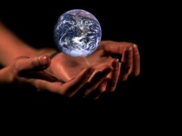 Stadt Offenbach richtet Klimaschutzfonds ein