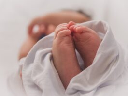 Magistrat Offenbach beschließt unbefristete Fortführung der Babylotsen am Sana Klinikum