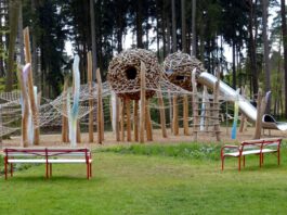 Frische Ideen für den Waldspielpark Scheerwald gesucht