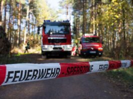 Weiterhin Waldbrand-Warnstufe 3 in Wiesbaden