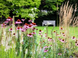 Erweiterung des Günthersburgparks ab Sommer 2027 geplant