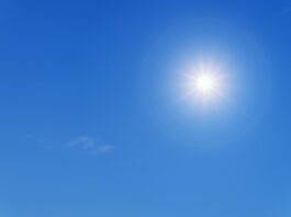 Hohe Temperaturen beim Grenzgang in Darmstadt