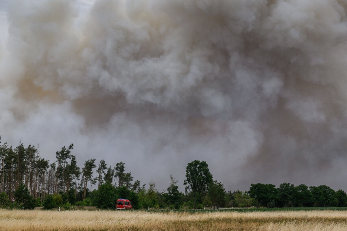 Rauch steigt von einem Waldbrandgebiet in den Himmel.