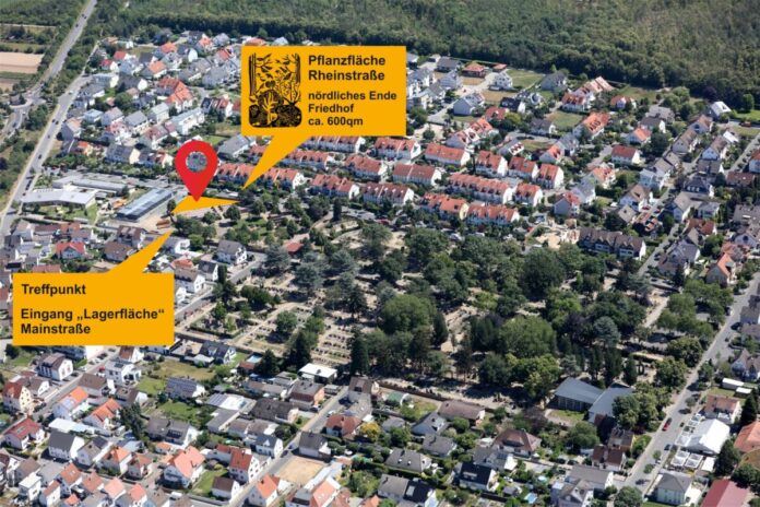 Für di Pflanzaktion an der Rheinstraße sucht die Stadt Griesheim noch Unterstützung. (Foto: Stadt Griesheim)