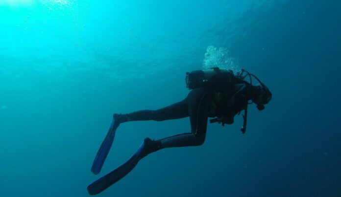 Taucher, tauchen rmv