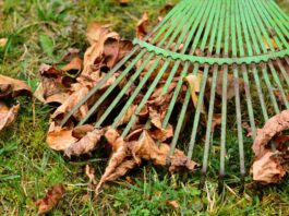 Laub umweltfreundlich mit Rechen beseitigen