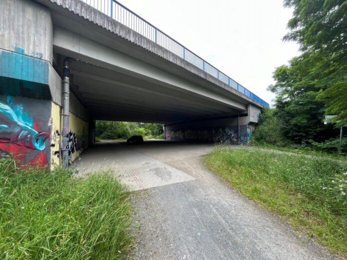 Afrikanische Schweinepest – Unterführung der A67 im Stadtwald wird teilweise gesperrt