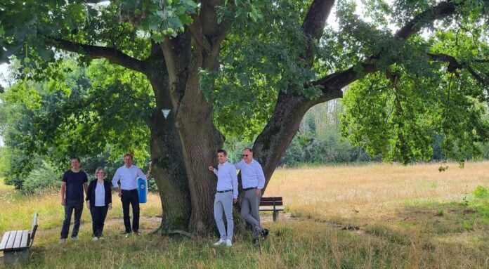 Kreis Offenbach stellt neue Naturdenkmäler vor Obertshausen