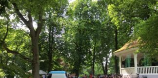 Menschen im Park  Foto: Sabine-Lydia Schmidt