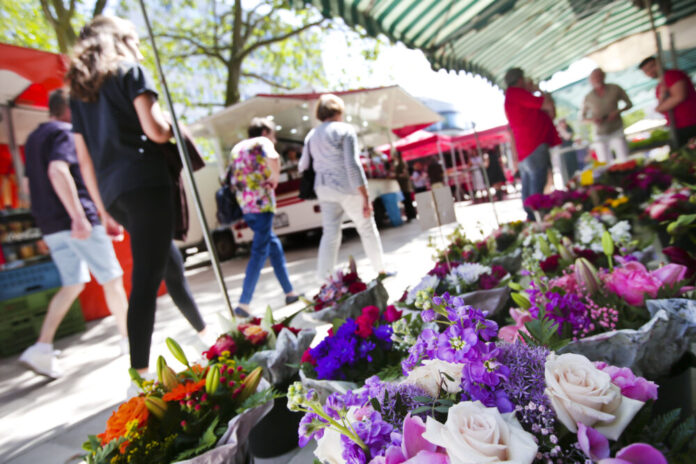 „Unterm Schermsche“ gibt’s am Samstag viele Informationen über insektenfreundliche Pflanzen. Foto: Stadt Offenbach / Katja Lenz