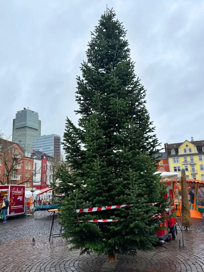 8fa2ce032df1de53d0cc6ea2e9f3ce0c