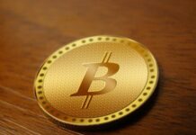 Der Bitcoin – die bekannteste und beliebteste Kryptowährung. Bildquelle: geralt via pixabay.com