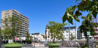 Die mobilen Baumkübel wurden jüngst auf dem Marktplatz aufgestellt und können künftig je nach Bedarf an unterschiedlichen Orten im Stadtgebiet platziert werden. Foto: Stadt Offenbach / Mona Förder