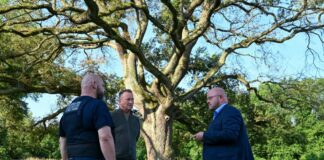 Stadtpolizist Uwe Gremm, Gerry Assmann von der FG Umwelt und Bürgermeister Marcus Kretschmann vor der Karl-Spengler-Eiche. (Archivfoto: Renate Hoyer)
