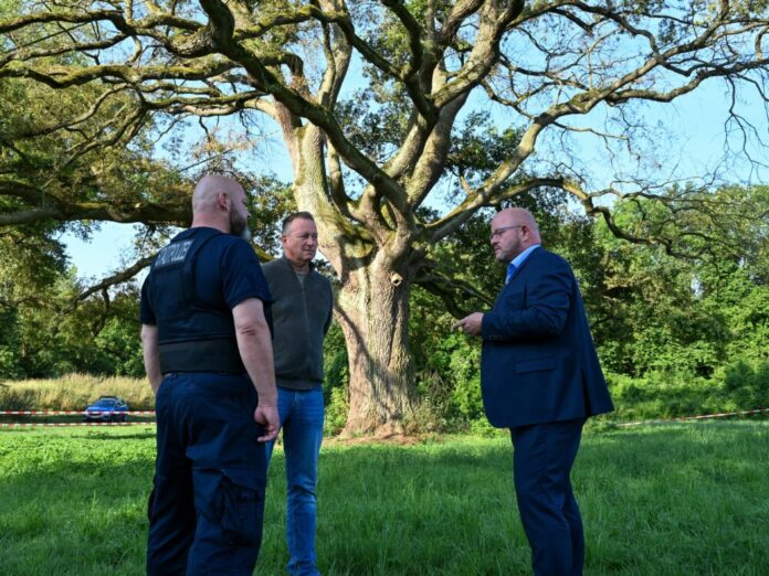 Stadtpolizist Uwe Gremm, Gerry Assmann von der FG Umwelt und Bürgermeister Marcus Kretschmann vor der Karl-Spengler-Eiche. (Archivfoto: Renate Hoyer)