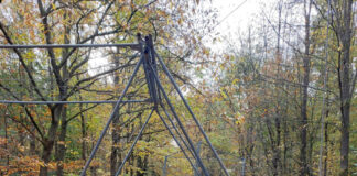 Gefahr im Langener Stadtwald