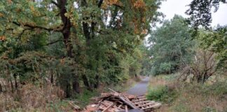 Illegale Müllentsorgung im Wald zwischen Weiterstadt und Griesheim