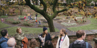 Umfrage zum Stadtgrün in Frankfurt hebt Grüneburgpark und Mainufer auf Platz 1