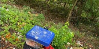 Stadt Königstein will stärker gegen Müllfrevel vorgehen