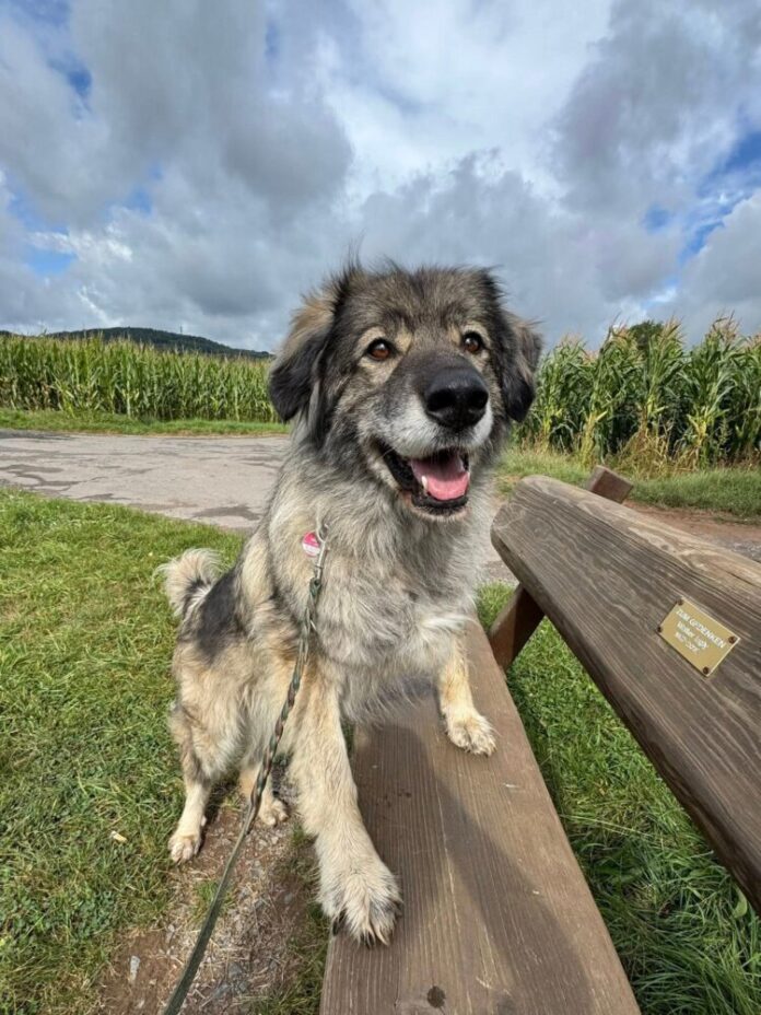 facebook_1762156532803_7391020194165486036