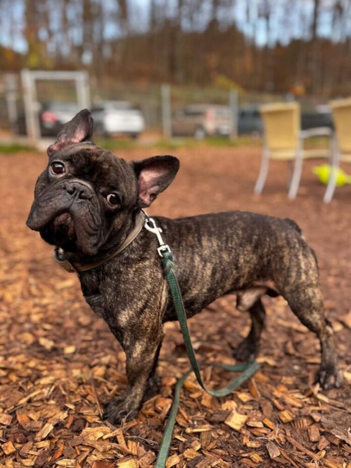 facebook_1764050668318_7398964774331081327