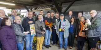 Gefiederter Schönheitswettbewerb in Hausen