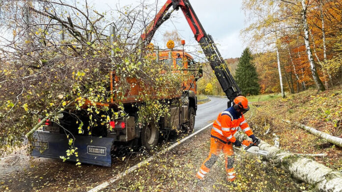 pressefoto_baumfaellarbeiten2