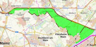Afrikanische Schweinepest: Ausbau der „Weißen Zone“ in Wiesbaden