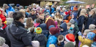 Waldweihnacht Seligenstadt: Adventsstimmung unter Zweigen