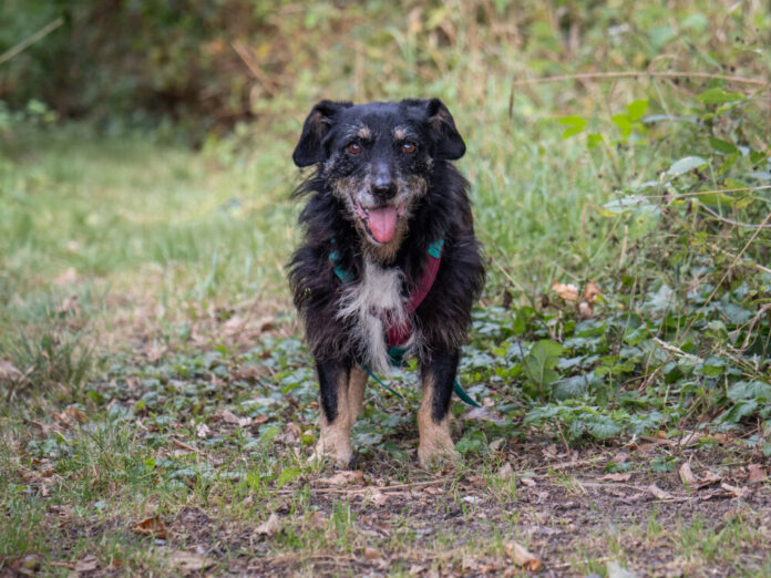 P8310197-1 Kopie (002)