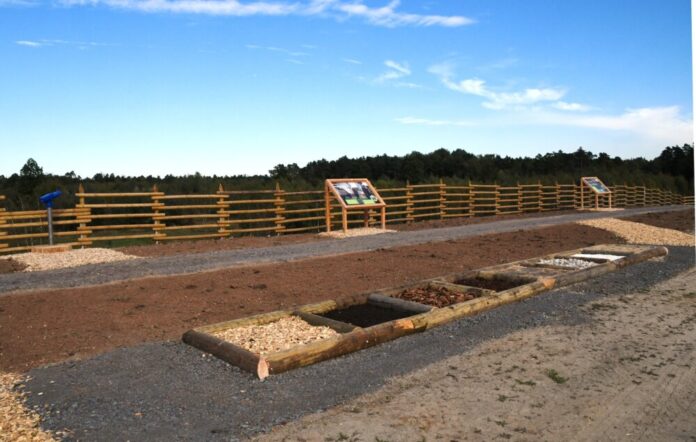 Rote Zahlen, aber auch viele Erfolge Münster