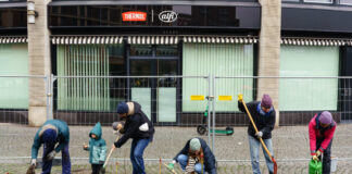 Ein Mini-Wäldchen im Herzen von Sachsenhausen