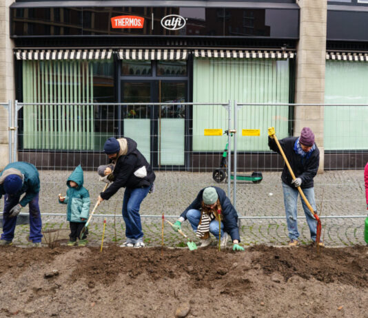 Ein Mini-Wäldchen im Herzen von Sachsenhausen