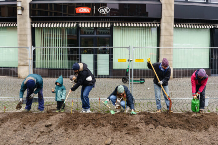 Baumpflanzaktion auf dem Walther-von-Cronberg-Platz in Sachsenhausen