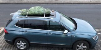 Ein Taxi für den Baum: ADAC-Tipps zum Weihnachtsbaumtransport