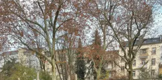 Stadt Offenbach optimiert Schulwege