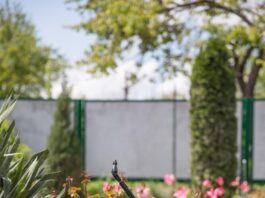 RP Darmstadt überwacht sicheren Verkauf von Biozidprodukten