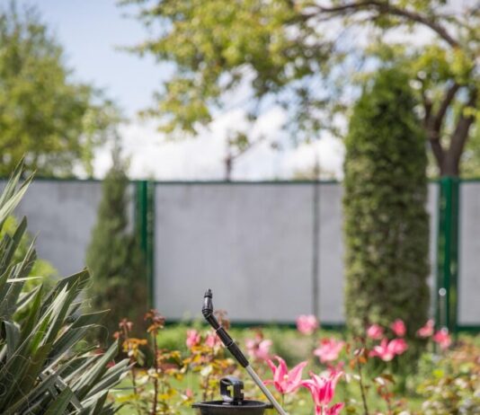 RP Darmstadt untersucht Schädlingsbekämpfungsmittel