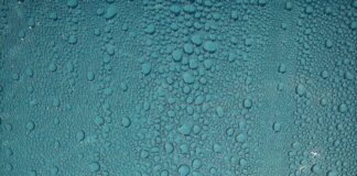 Wenn das Fahrzeug zum Feuchtraumbiotop wird