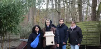 AzubiConnect bringt Offenbacher Betriebe Schülern zusammen