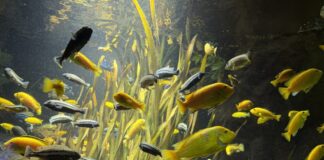 Fakten, Zahlen, Daten 2025: Der Zoo Frankfurt zieht Bilanz