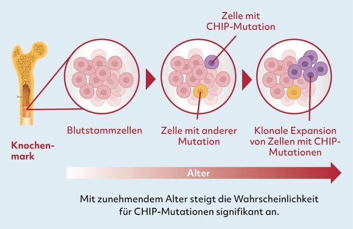 Grafik_Klonale_Expansion_2025_09