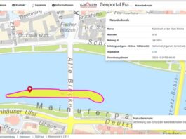 Karte des Monats Januar zeigt Naturdenkmäler in Frankfurt