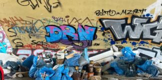 Illegale Abfallablagerungen in Eschersheim