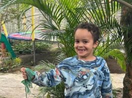 8-Jähriger aus Frankfurt vermisst